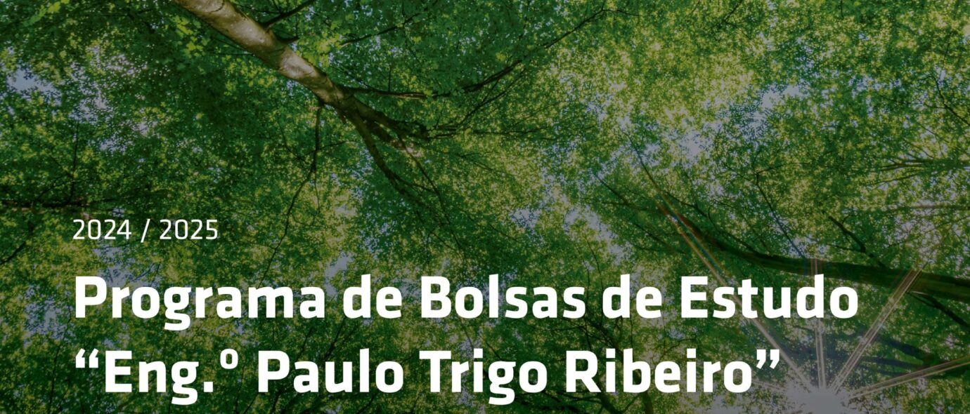 Abertura das candidaturas à bolsa de estudos Engenheiro Paulo Trigo Ribeiro